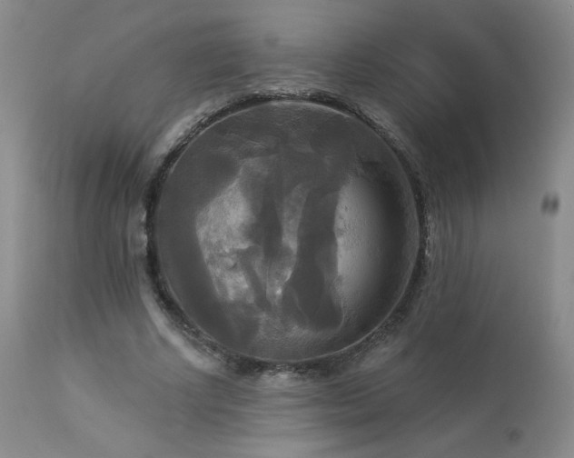 X0000112960634200908271117