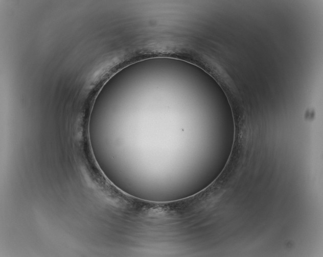 X0000112960635200908271117