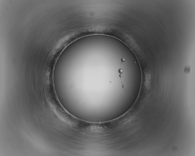 X0000112960636200908271117