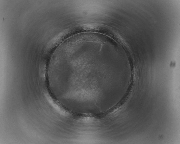 X0000112960637200908271117