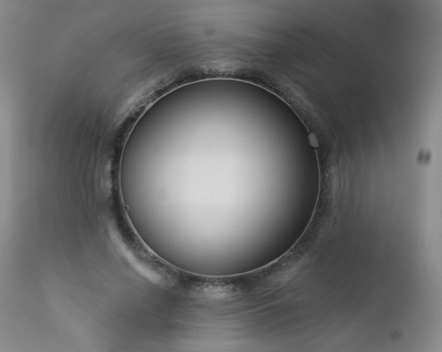 X0000112960638200908271117