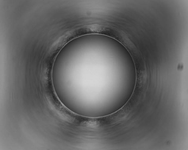 X0000112960639200908271117