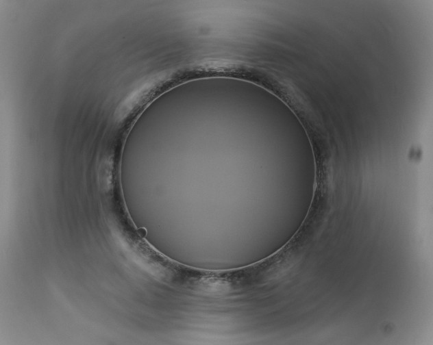 X0000112960640200908271117