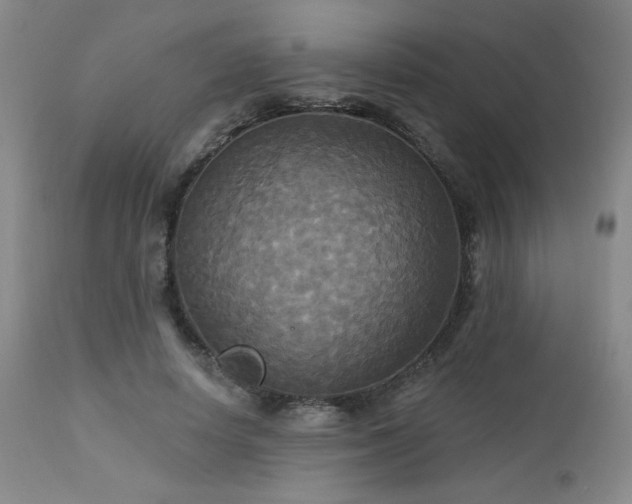 X0000112960642200908271117