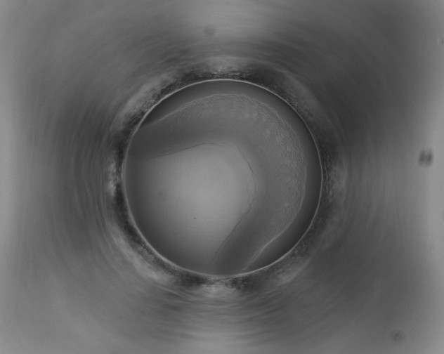 X0000112960644200908271117