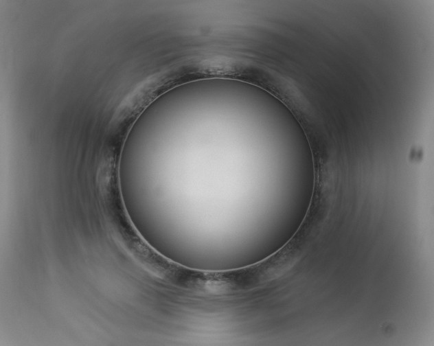 X0000112960645200908271117