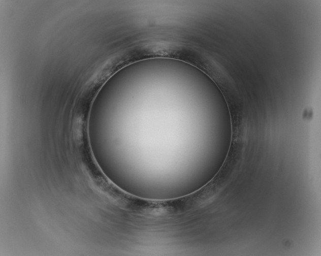 X0000112960646200908271117