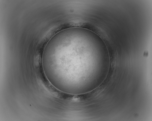 X0000112960647200908271118