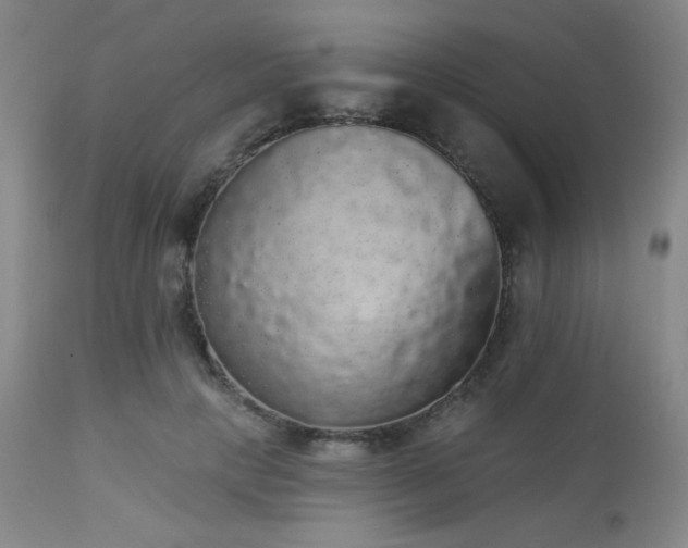 X0000112960649200908271118