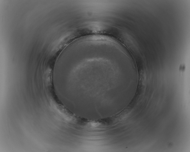 X0000112960650200908271118