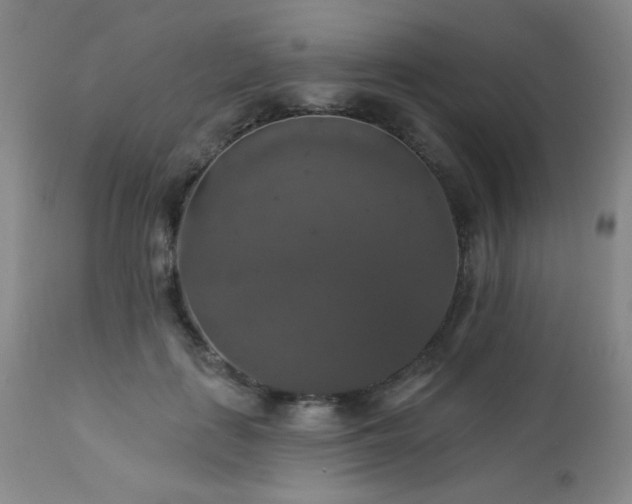 X0000112960651200908271118