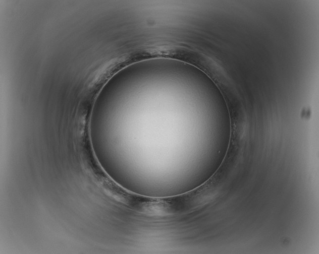 X0000112960652200908271118