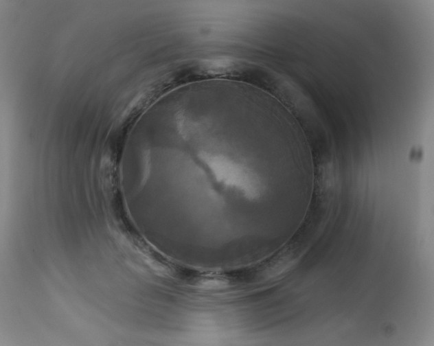 X0000112960653200908271118