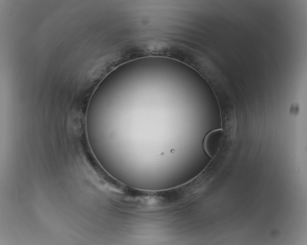 X0000112960654200908271118