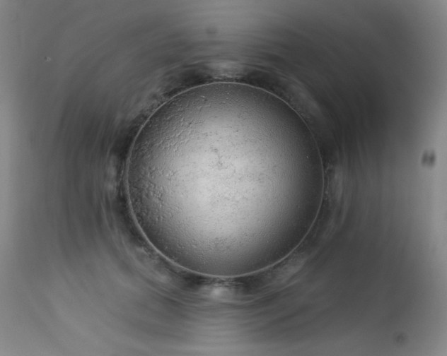 X0000112960655200908271118