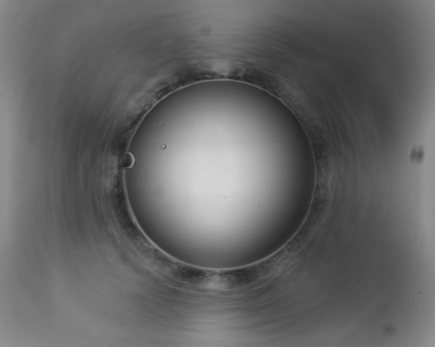 X0000112960656200908271118