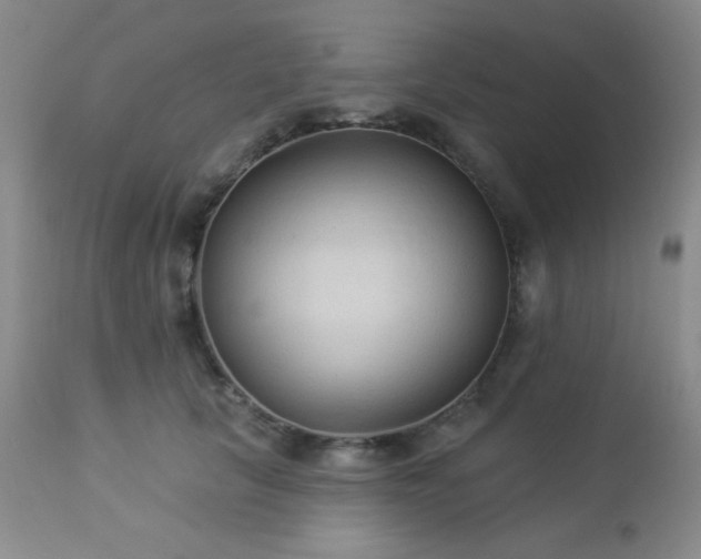 X0000112960657200908271118