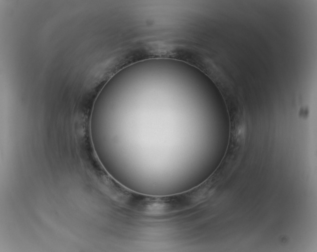 X0000112960658200908271118