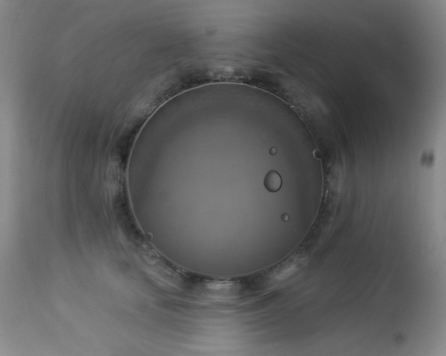 X0000112960659200908271118