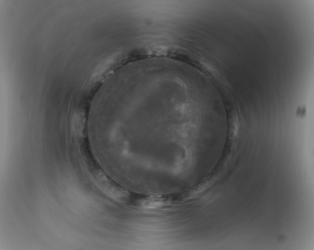 X0000112960661200908271118