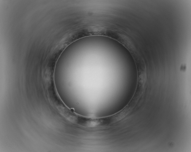 X0000112960662200908271118