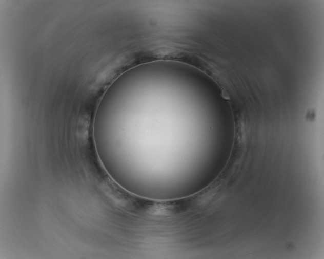 X0000112960664200908271118