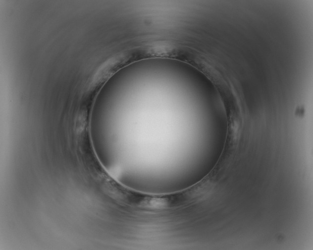 X0000112960665200908271118