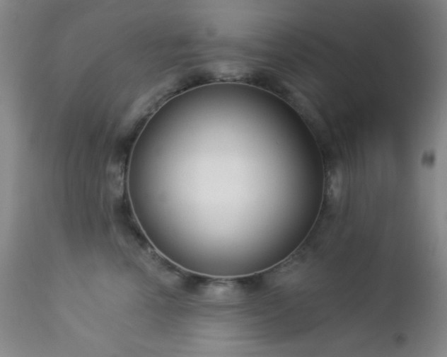 X0000112960666200908271118