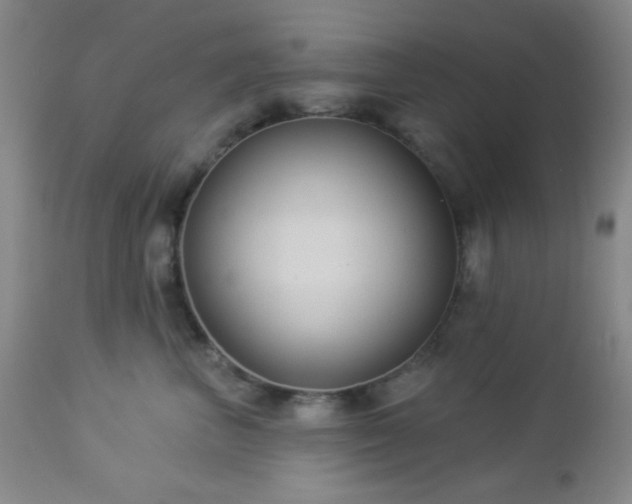 X0000112960667200908271118