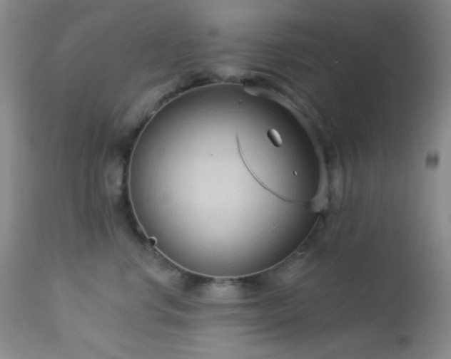 X0000112960668200908271118