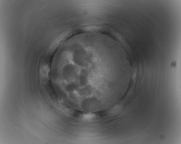 X0000112960669200908271118