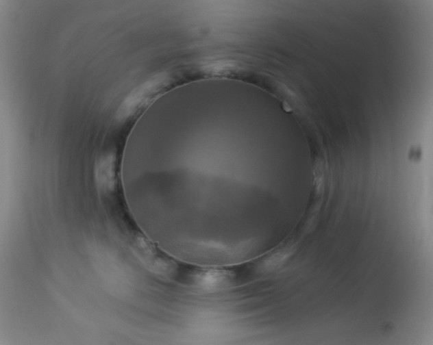 X0000112960670200908271118