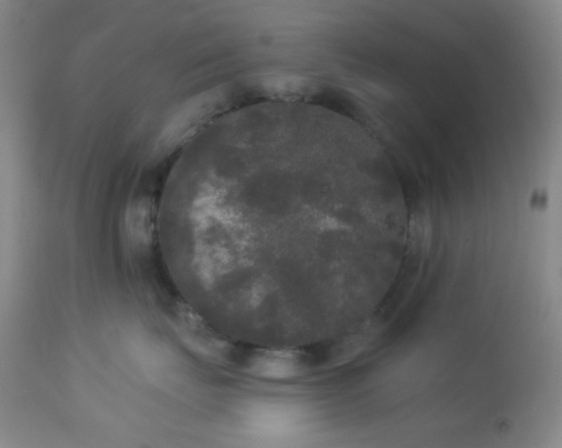 X0000112960671200908271118