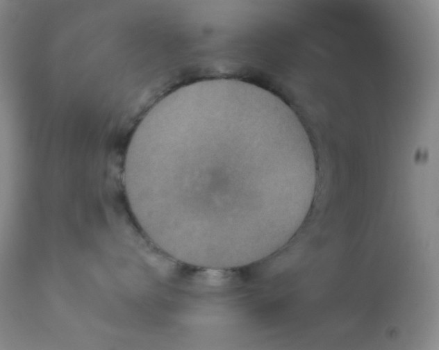 X0000112960672200908271118