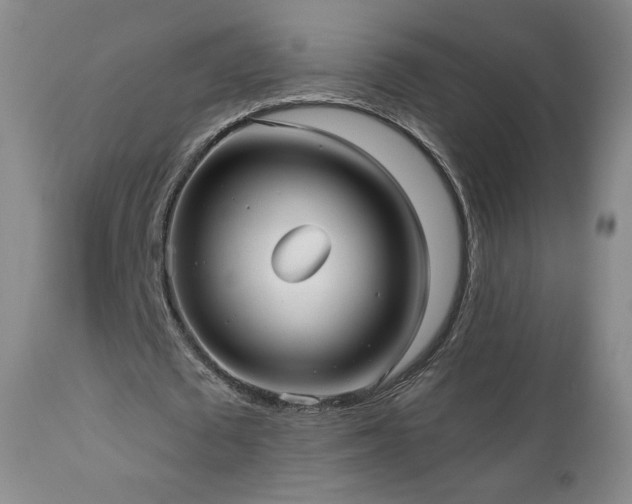 X0000112960673200908271117