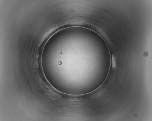 X0000112960675200908271117