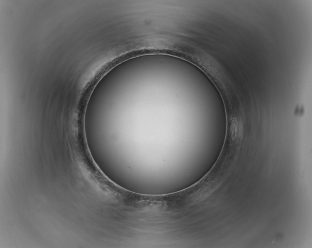 X0000112960676200908271117