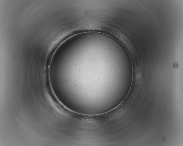 X0000112960677200908271117