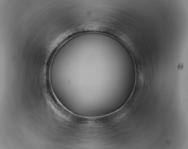 X0000112960678200908271117