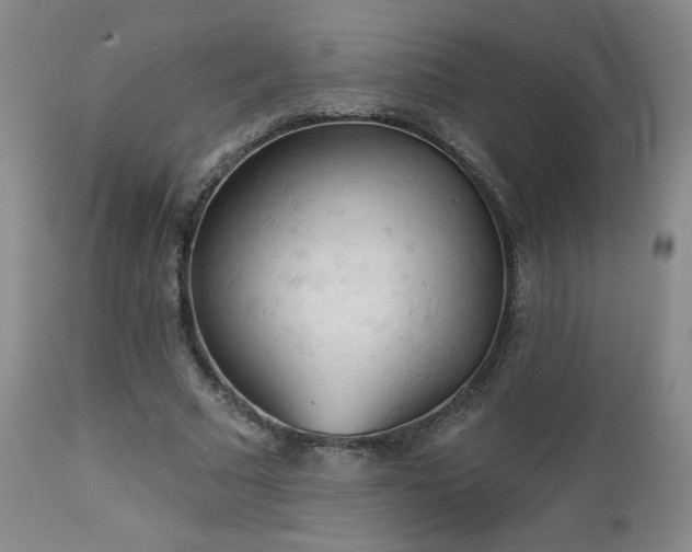 X0000112960681200908271117