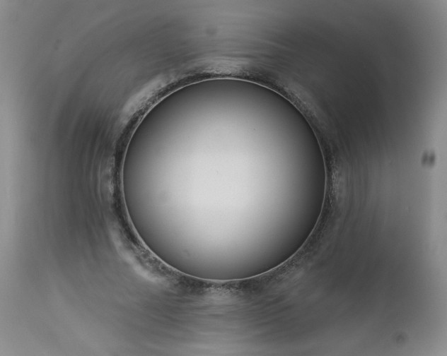 X0000112960682200908271117