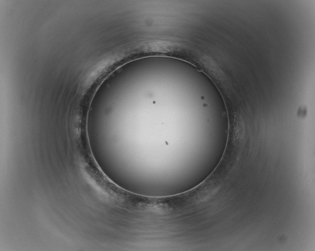 X0000112960683200908271117