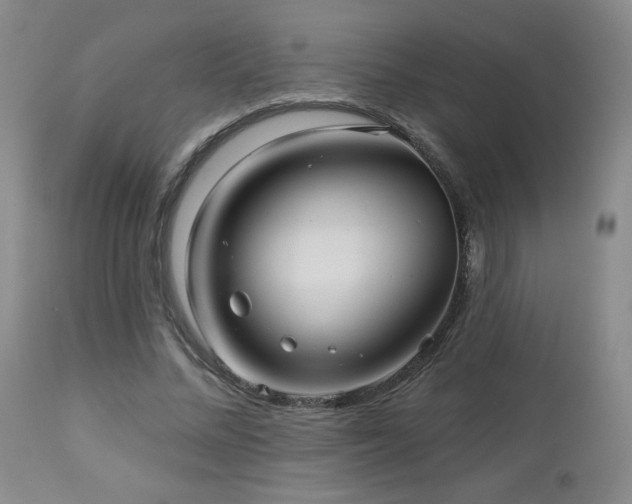 X0000112960684200908271117