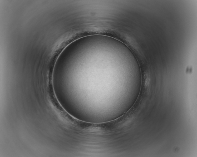 X0000112960685200908271117