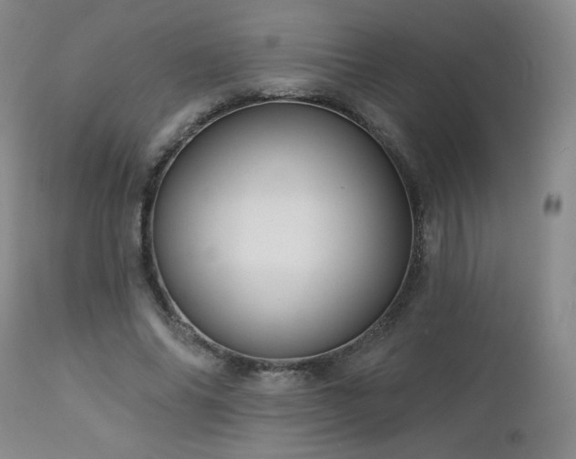 X0000112960686200908271117