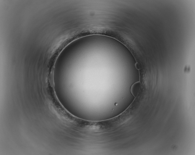 X0000112960687200908271117