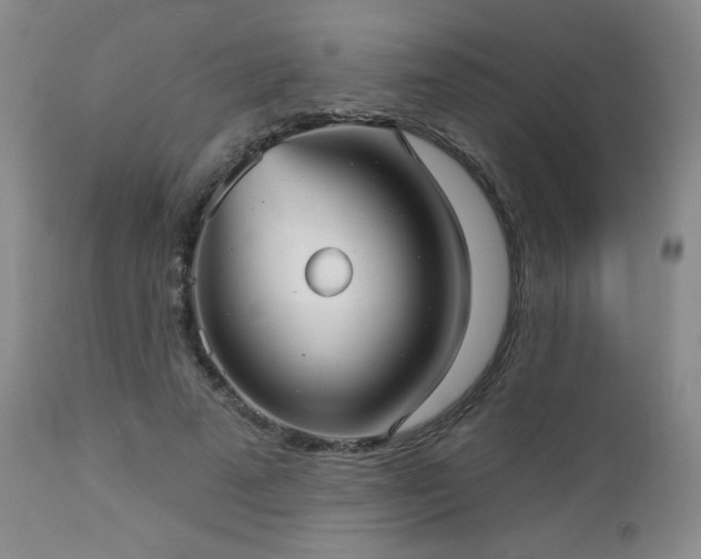 X0000112960689200908271117