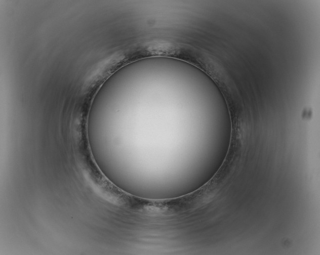 X0000112960690200908271117