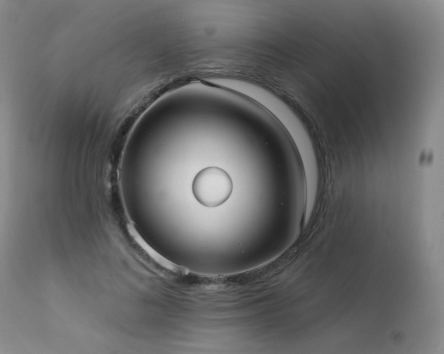 X0000112960692200908271117