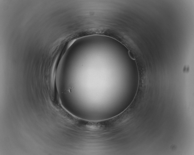 X0000112960693200908271117